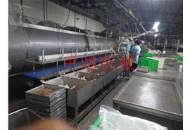 皮帶式重量分選機(jī)