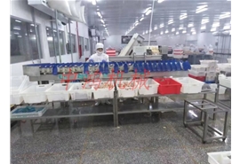 塑料盒式重量分揀機(jī)