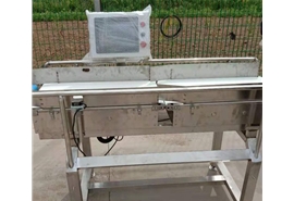 塑料盒式重量分揀機(jī)