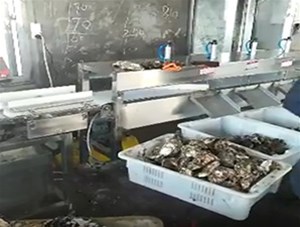 海鮮加工