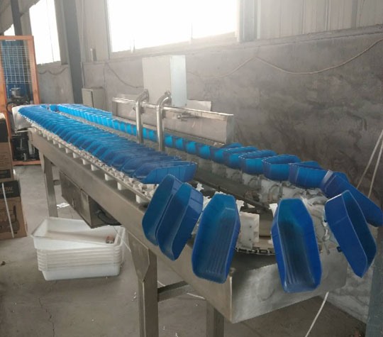 塑料盒式重量分揀機(jī)