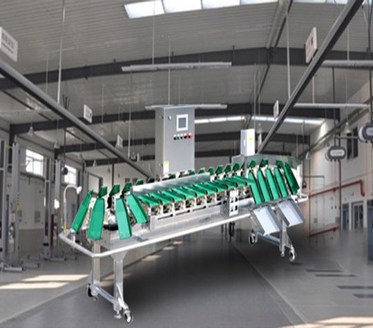 塑料盒式重量分揀機(jī)